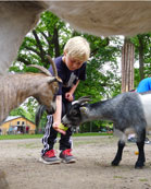 Guldborgsund Zoo & Botanisk Have Billede/Photo/Bild