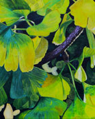 open2day.dk/stevns Annette Voigt Annette Voigt Billede/Photo/Bild