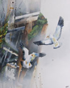 open2day.dk/stevns AtelierDrent AtelierDrent Billede/Photo/Bild
