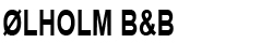 ØLHOLM B&B Logo